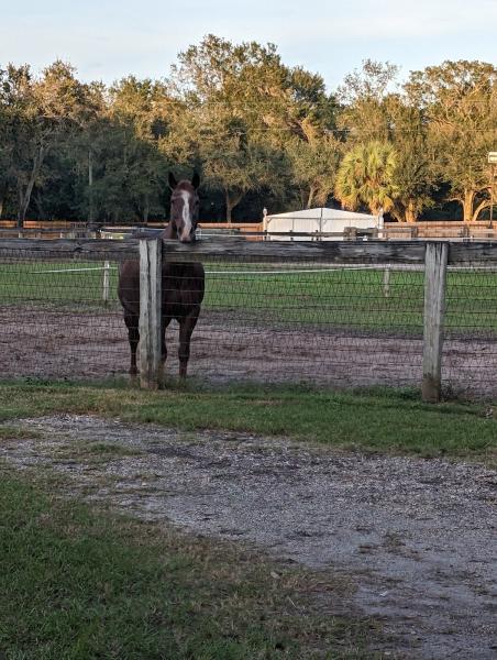 Cavallo Farm