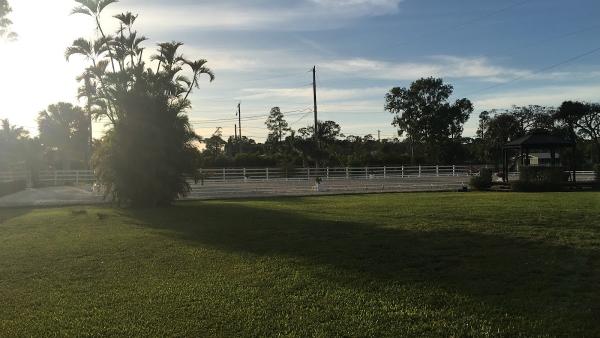 Erin Swaney Dressage