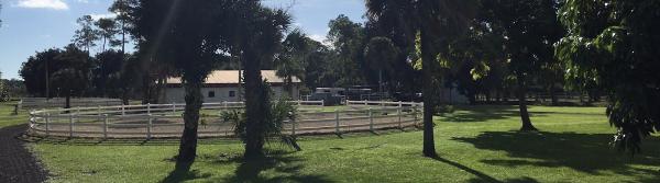 Erin Swaney Dressage