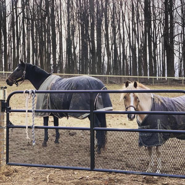 Top Flight Stables