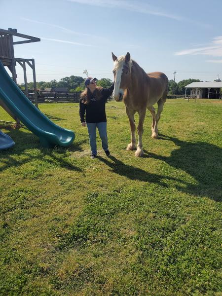 Wild Hearts Equine Therapy Center