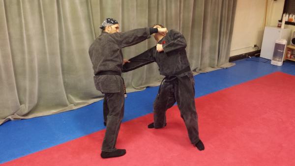 Bujinkan New York Dojo