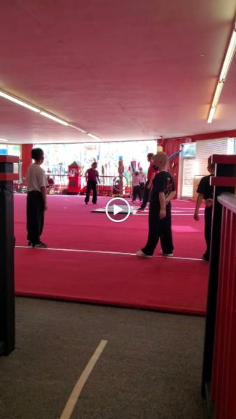 Chinese Kung Fu Wushu Academy