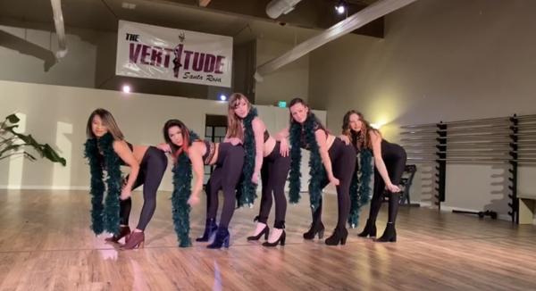 The Vertitude Santa Rosa Pole Dance Studio