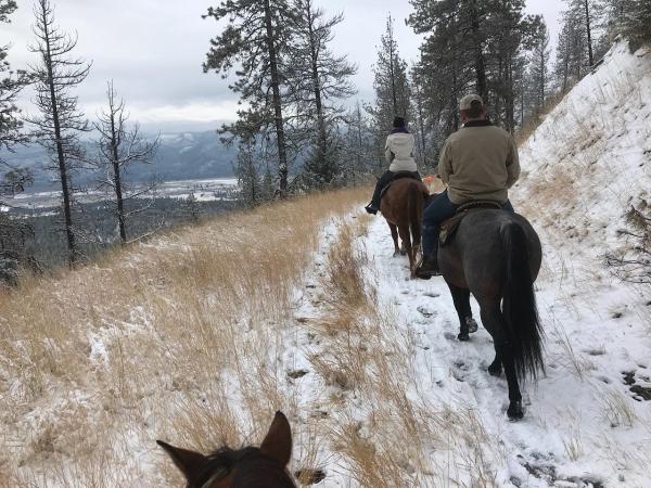 AR Riding and Training