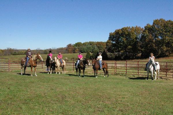 Cheryl Childs Horsemanship
