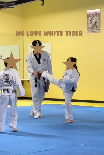 White Tiger Tae Kwon Do