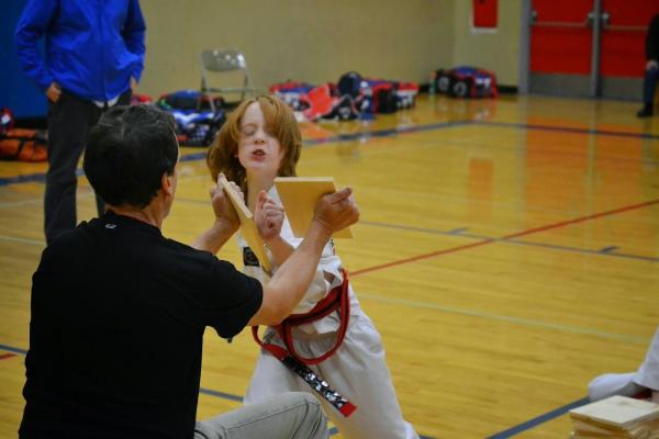 World Champion Taekwondo