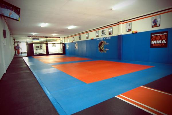 Anaconda Academy JV Competition Team