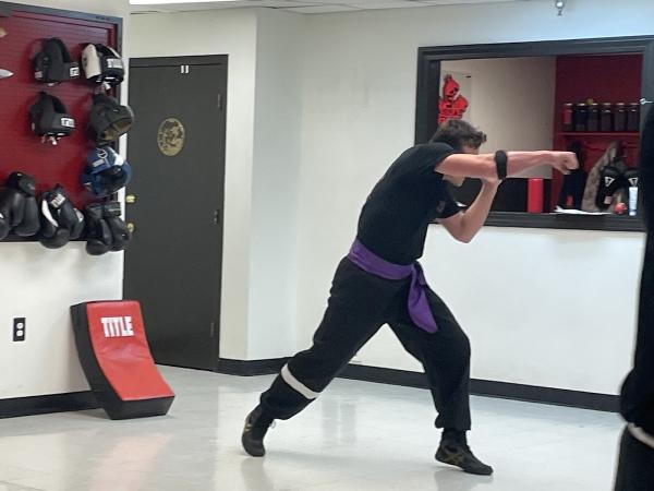 5 Animal Fist Kung Fu