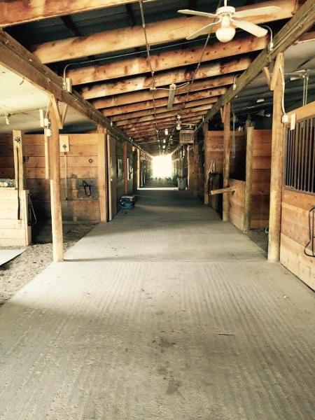 Oasis Equestrian Center