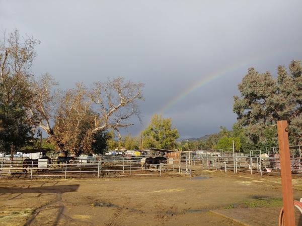 North County Equestrian Center