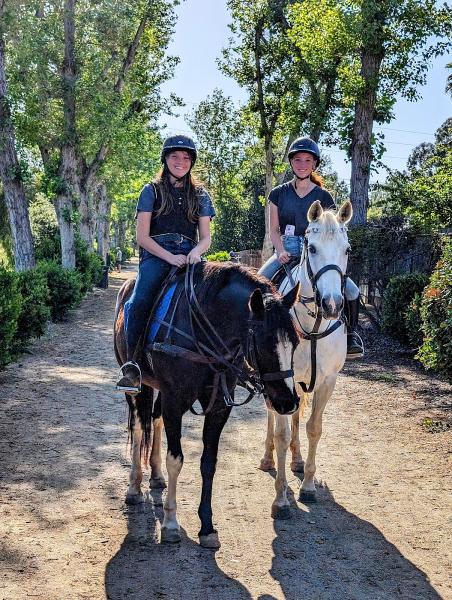 North County Equestrian Center