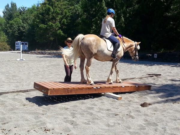 Changing Rein Equine Assisted Activities and Therapies