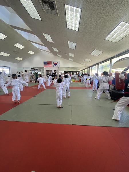 Victory Tae Kwon Do USA