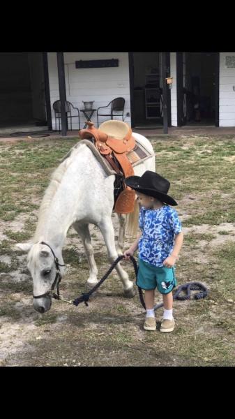 Saddle & Paddle Farms/ CL Equine