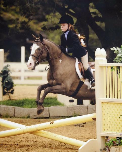 Chestnut Hills Equestrian Center