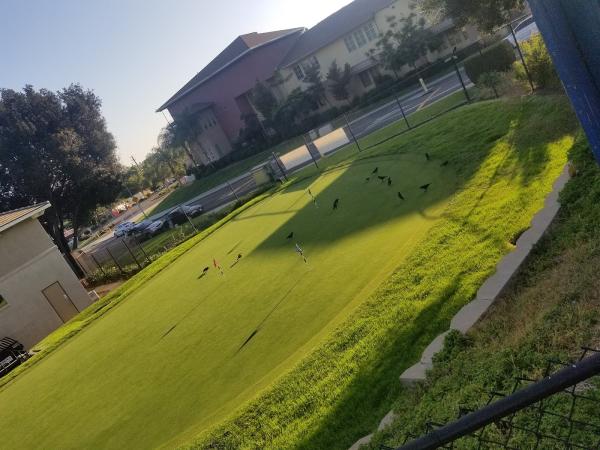 Pro Kids Golf Academy
