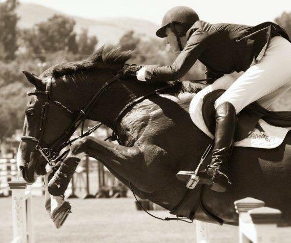 Bristol Show Stable