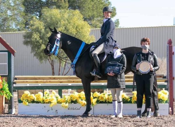 Bristol Show Stable