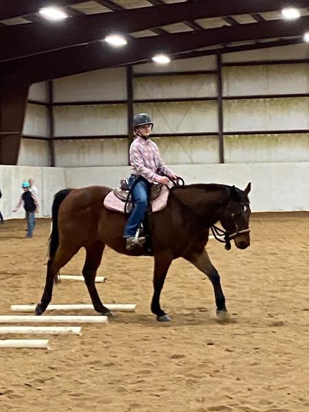 Wilde Oats Horsemanship Center