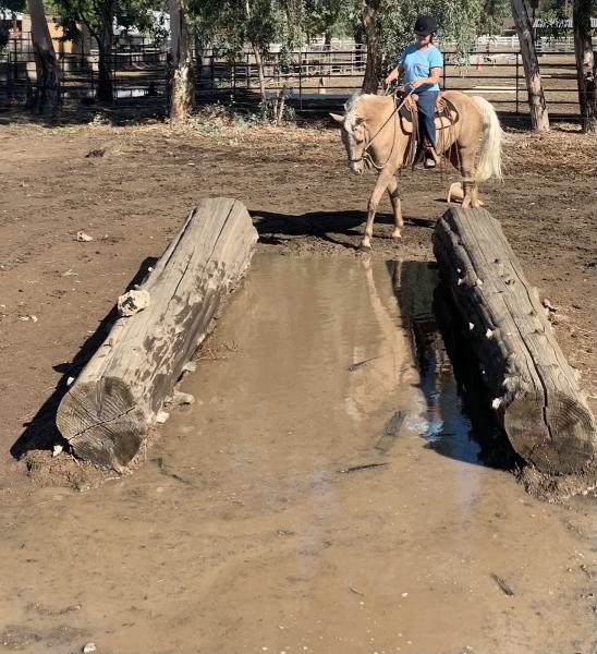 Summer Wind Ranch