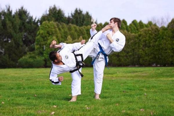 Wushu Taekwon-Do Academy