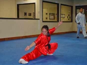 Wushu Taekwon-Do Academy