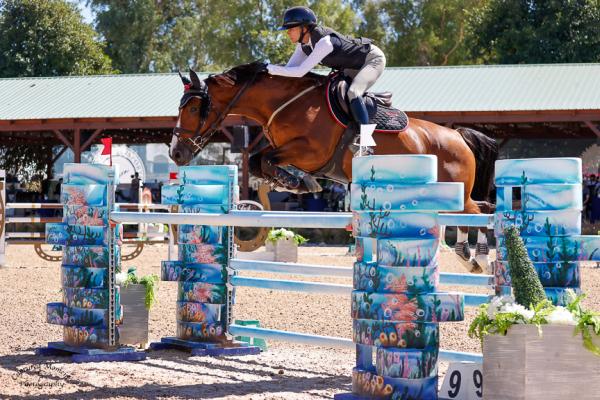 California Sporthorses