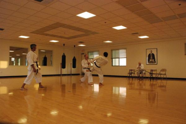 Shoshin Karate-Do International