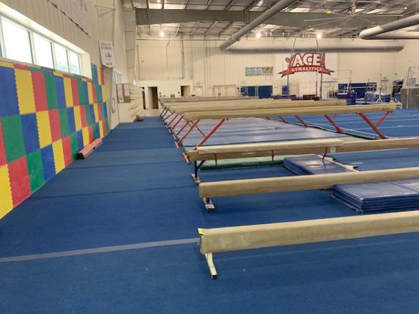 ACE Gymnastics-Longwood