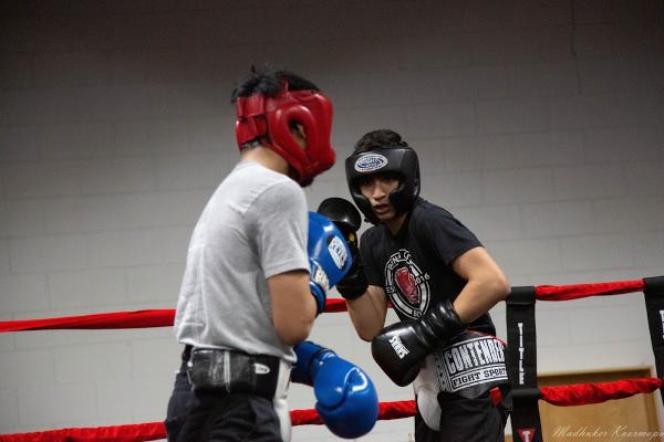 Punch Out Boxing