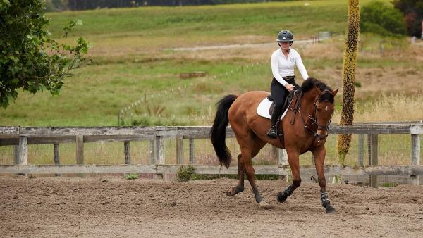 Amanda Garcia Equestrian Training