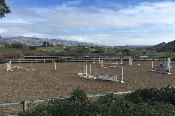 Amanda Garcia Equestrian Training