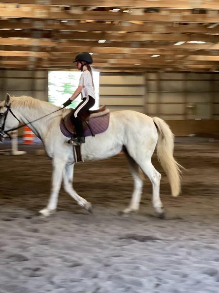 Misty Brae Farm LLC and Pony Club Riding Center