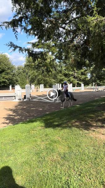 Emerald Pine Stables