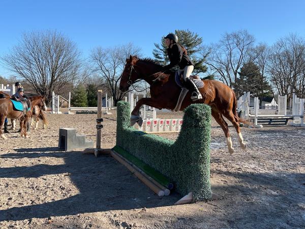 Emerald Pine Stables