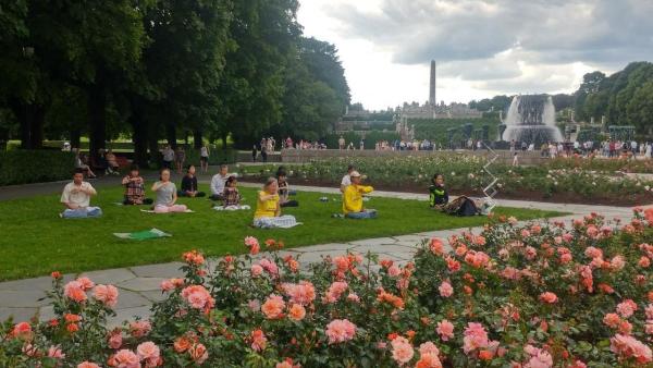 Falun Dafa Meditation Amsterdam NY