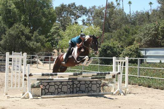 Randy Cano Training Stables