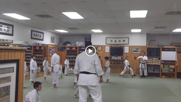 Okinawa Goju Ryu Karate Do International (Ogki)