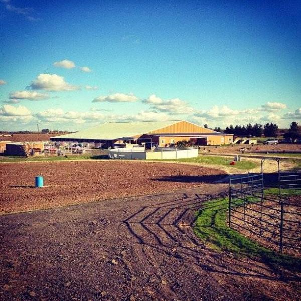 Marsh Creek Stables