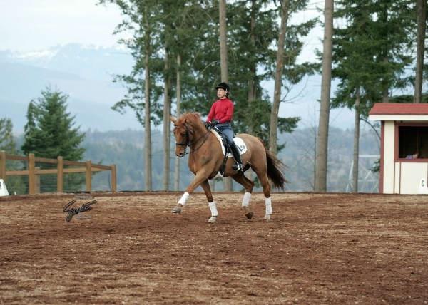 San Sebastian Equestrian Center