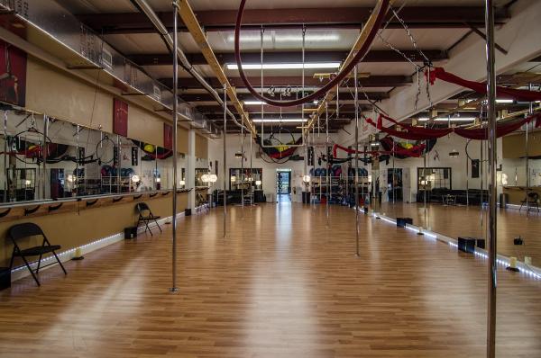 Pole & Aerial Fitness of Swfl