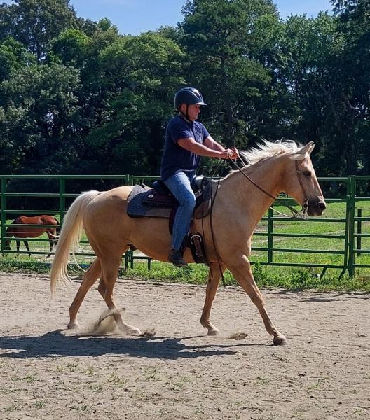 Let's Saddle Up Therapeutic Horsemanship