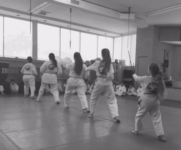 Ray's Tae Kwon Do Center