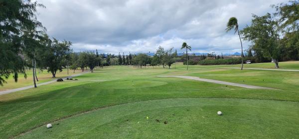Golf Academy Hawaii