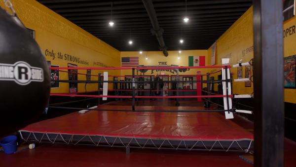 The Force Boxing Gym