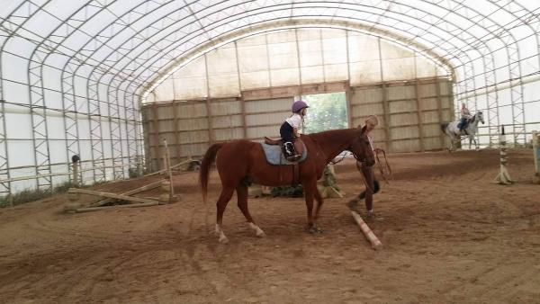 Highland Acres Stables
