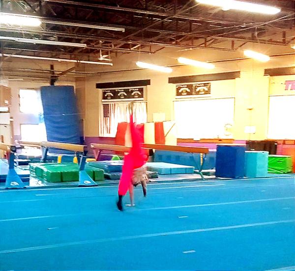 Tri-Star Gymnastics