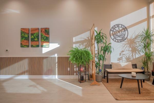 Anew Vibe Studio